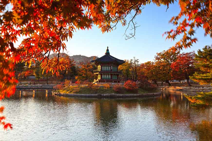 韓國紅葉景點-景福宮