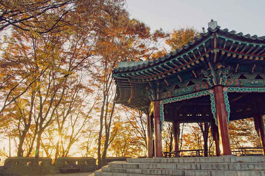 韓國紅葉景點-南山公園