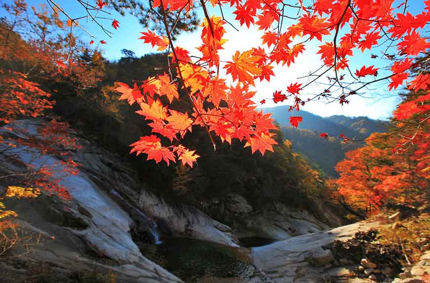 韓國紅葉景點-雪嶽山國立公園