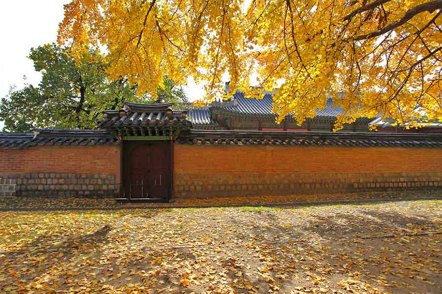 韓國紅葉景點-景福宮